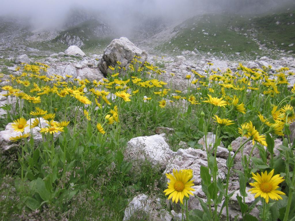 Villa Bezgova Hisica à Bovec Extérieur photo