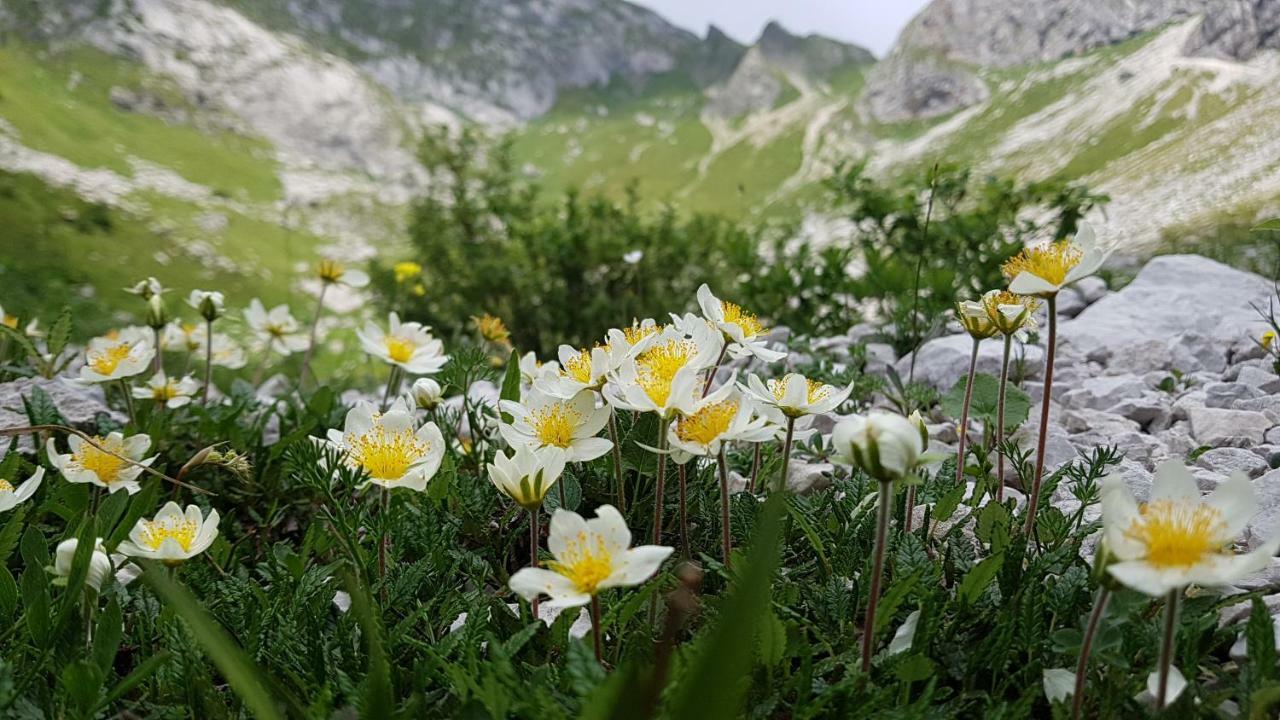 Villa Bezgova Hisica à Bovec Extérieur photo