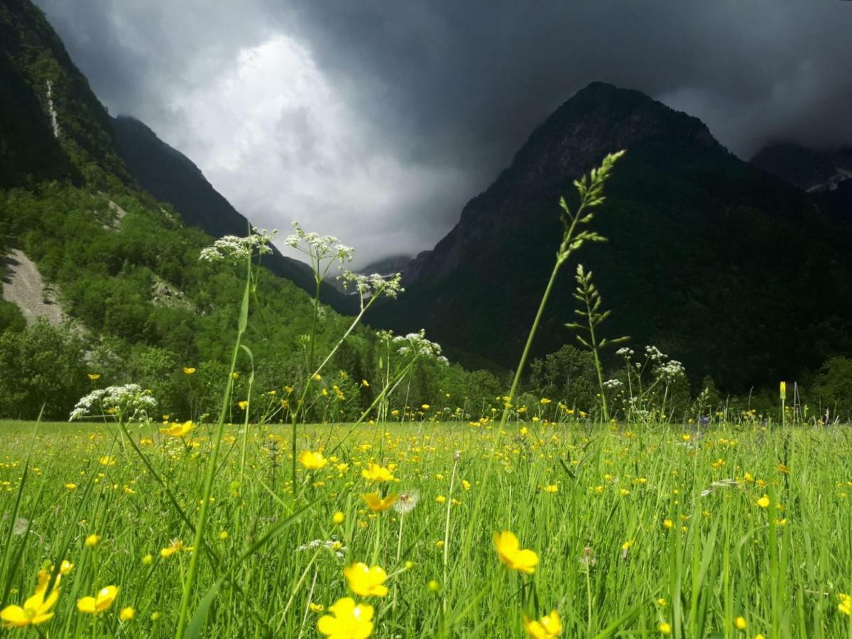 Villa Bezgova Hisica à Bovec Extérieur photo